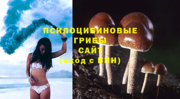 соль курить ск Алексеевка