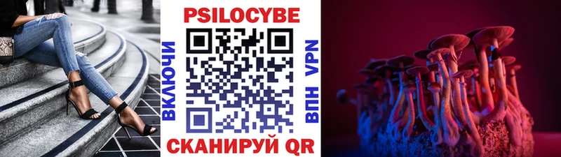 OMG онион что такое наркотик Шуя Галлюциногенные грибы мухоморы