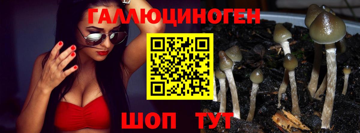 Шуя  Псилоцибиновые грибы Psilocybine cubensis  продажа наркотиков  Вход с VPN  Галлюциногенные грибы Cubensis 