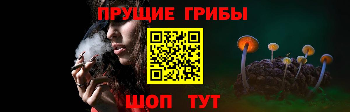 Псилоцибиновые грибы Cubensis Шуя